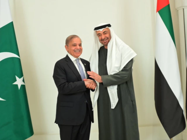 UAE president to undertake his first official visit to Pakistan on December 26