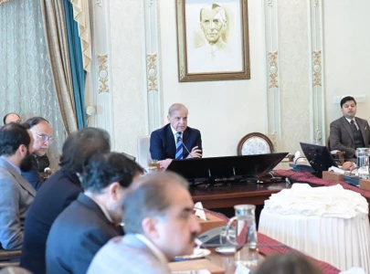 pm terms pia stake sale start of reform agenda