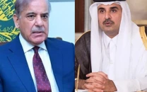 pm shehbaz qatari emir discuss regional developments in phone call