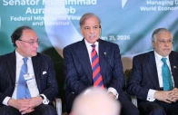 prime minister shehbaz sharif addresses the pakistan pavilion on the sidelines of the 56th annual meeting of the world economic forum on wednesday photo app