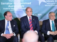 prime minister shehbaz sharif addresses the pakistan pavilion on the sidelines of the 56th annual meeting of the world economic forum on wednesday photo app