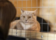 photo file photo file