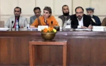 senate warned of halted visas but uae says 500 visas for pakistanis processed daily