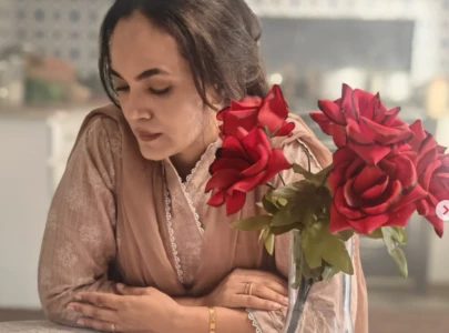 aamina sheikh teases new drama about a woman s fight for a better life aamina sheikh teases new drama about a woman s fight for a better life
