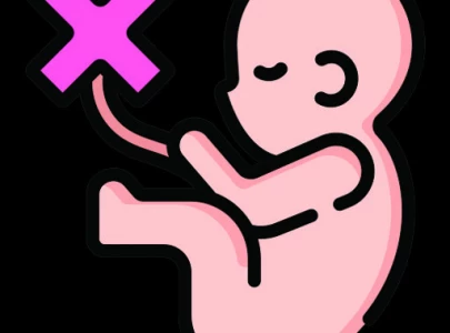 6 6pc women opted for abortions in 2023