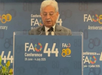 fao affirms continuous support for agri reforms fao affirms continuous support for agri reforms