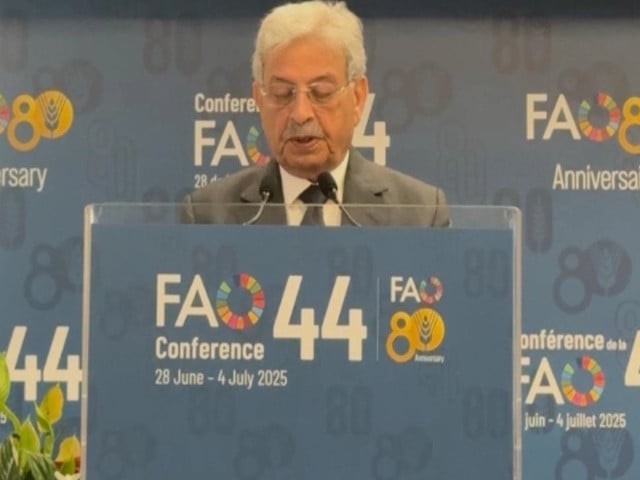 FAO affirms continuous support for agri-reforms | The Express Tribune