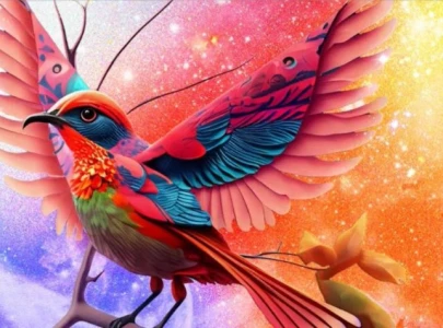 adobe set to launch ai powered video editing tool this year