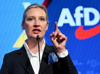 far right afd designated extremist by german security service