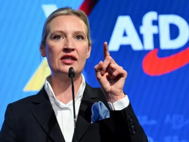 alice weidel joint afd leader said the decision was a severe blow against german democracy photo reuters alice weidel joint afd leader said the decision was a severe blow against german democracy photo reuters