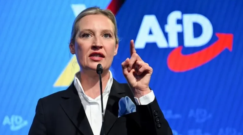 alice weidel joint afd leader said the decision was a severe blow against german democracy photo reuters alice weidel joint afd leader said the decision was a severe blow against german democracy photo reuters