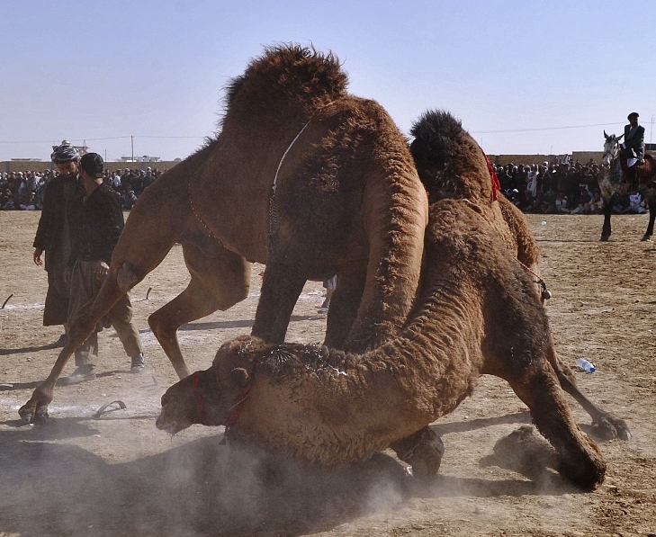 Updated Mar 22, 2011