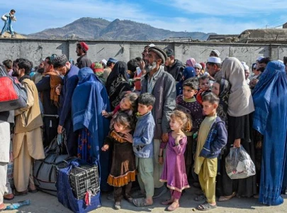 over 4 000 deported from punjab over 4 000 deported from punjab