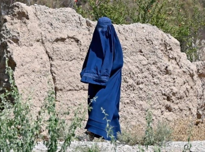 taliban pledge international engagement as un condemns morality law as gender apartheid