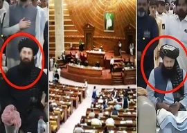 punjab assembly condemns afghan diplomat s disrespect of national anthem