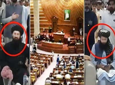 punjab assembly condemns afghan diplomat s disrespect of national anthem