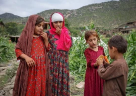 third quake hits southeastern afghanistan after deadly tremors kill over 2 200 third quake hits southeastern afghanistan after deadly tremors kill over 2 200