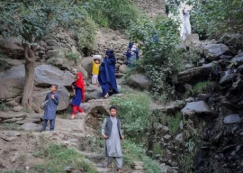 afghan health system overwhelmed after eastern quake who afghan health system overwhelmed after eastern quake who