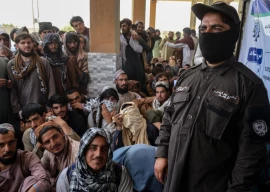 afghans scramble for chance to work in qatar