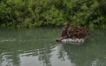 when the river forgot to run