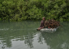 when the river forgot to run