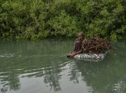 when the river forgot to run