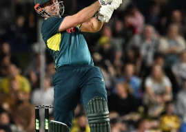 australia announce squad for t20i series against new zealand australia announce squad for t20i series against new zealand