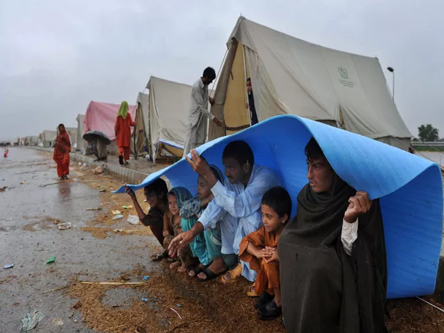 the politics of relief aliens in their own land the politics of relief aliens in their own land