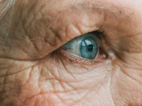 the new model demonstrates robust and accurate predictive capabilities for assessing organ aging status across diverse populations photo pixabay