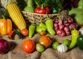 crackdown launched on counterfeit agricultural inputs