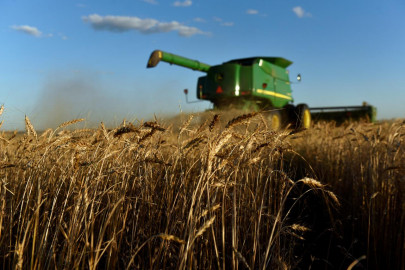 govt working to develop agri sector govt working to develop agri sector