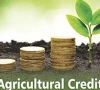 loans rise bypasses small farmers