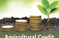 loans rise bypasses small farmers