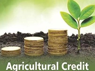 loans rise bypasses small farmers