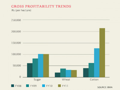 taxes unlikely to affect farmers analyst