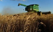 quality services cheema said nafsa is one of the most significant institutional reforms in pakistan s agriculture sector and will greatly improve the business environment for importers and exporters dealing in plants seeds and other agricultural products photo file