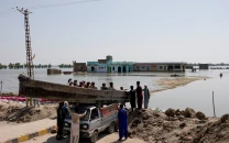palla fish return to our plates after floods wash parched indus delta in nature s surprise repair palla fish return to our plates after floods wash parched indus delta in nature s surprise repair