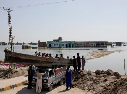 palla fish return to our plates after floods wash parched indus delta in nature s surprise repair palla fish return to our plates after floods wash parched indus delta in nature s surprise repair
