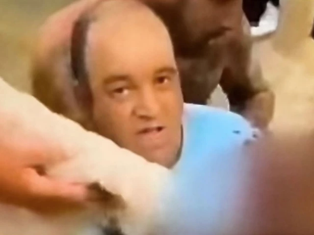 Muslim citizen who grabbed Bondi Beach shooter hailed as hero, globally | The Express Tribune Muslim citizen who grabbed Bondi Beach shooter hailed as hero, globally | The Express Tribune