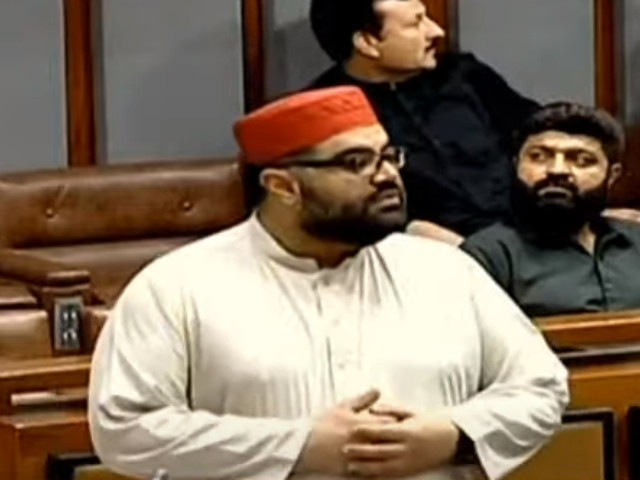 anp s aimal wali khan addressing in senate session photo file