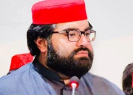 anp govt clash over aimal wali security anp govt clash over aimal wali security