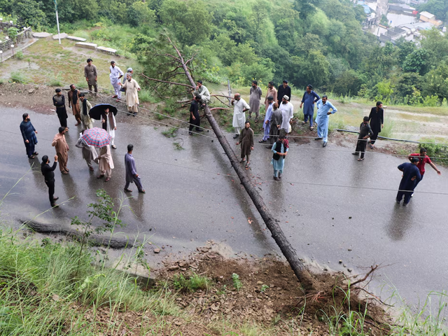 Residents gather after a road was blocked by a fallen tree amid heavy rains in Muzaffarabad, the capital of Pakistani Kashmir, August 15, 2025. Photo: Reuters