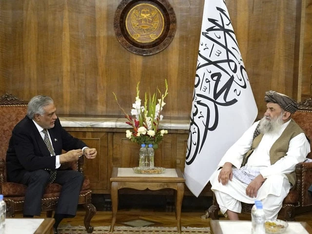 afghan pm mullah mohammad hassan akhund in meeting with deputy prime minister ishaq dar on july 17 photo x com foreignofficepk