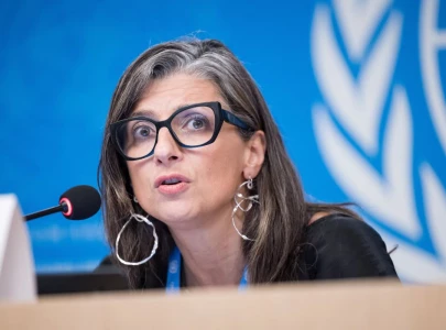 independent un body condemns vicious attacks on un expert on palestinian rights