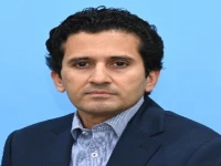 minister of state for finance ali pervaiz malik