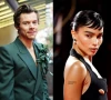 harry styles and zo kravitz fuel romance buzz with nyc airport getaway harry styles and zo kravitz fuel romance buzz with nyc airport getaway