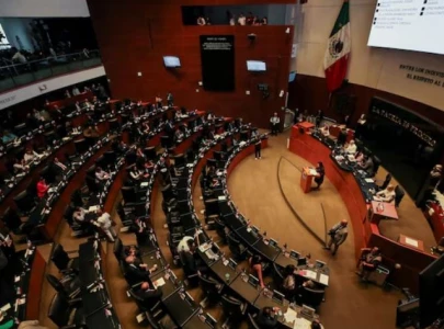 mexico senate fight caught on camera as political tensions erupt