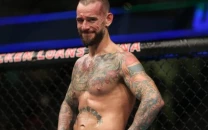 cm punk s reaction sparks aj lee wwe return speculation cm punk s reaction sparks aj lee wwe return speculation