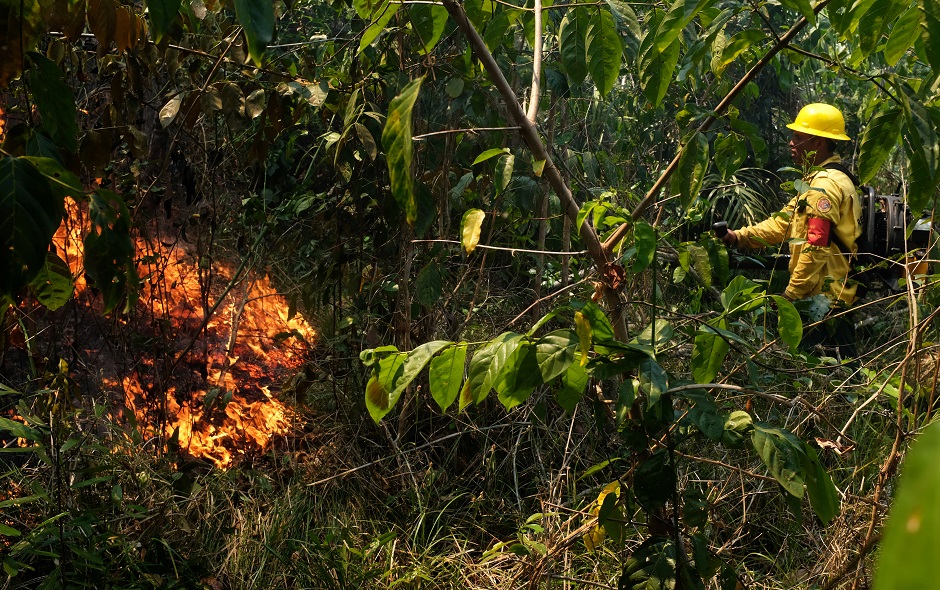 A volunteer fire brigade member attempts to control hot points at Alto Xingu Indigenous park, Mato Grosso state, Brazil. PHOTO: Reuters