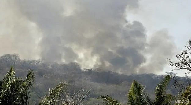 A forest burns near Robore, Bolivia. (Photo: AFP)